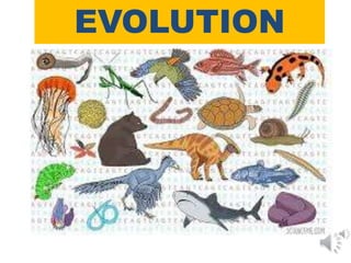 EVOLUTION
 