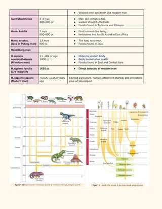 Evolution (short note ques).pdf