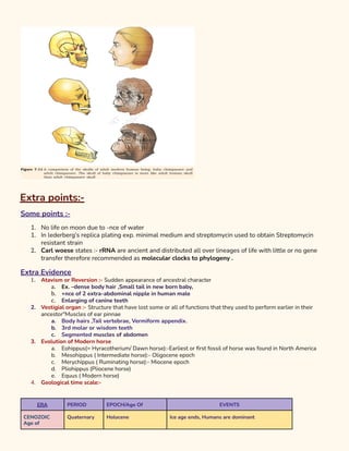 Evolution (short note ques).pdf
