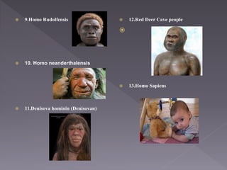 Evolution species to races | PPTX