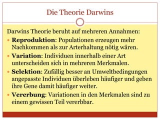 Die Theorie Darwins
Darwins Theorie beruht auf mehreren Annahmen:
 Reproduktion: Populationen erzeugen mehr
Nachkommen als zur Arterhaltung nötig wären.
 Variation: Individuen innerhalb einer Art
unterscheiden sich in mehreren Merkmalen.
 Selektion: Zufällig besser an Umweltbedingungen
angepasste Individuen überleben häufiger und geben
ihre Gene damit häufiger weiter.
 Vererbung: Variationen in den Merkmalen sind zu
einem gewissen Teil vererbbar.

 