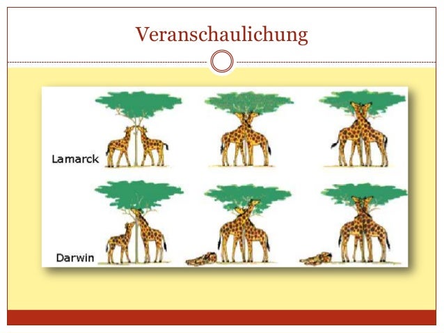 Evolutionstheorie Nach Darwin Evolutionstheorie Nach Darwin
