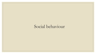 Social behaviour
 