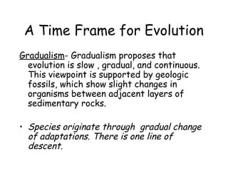 Slide Gradual Evolution Evolution theories | PPT