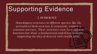 Supporting Evidence
 
