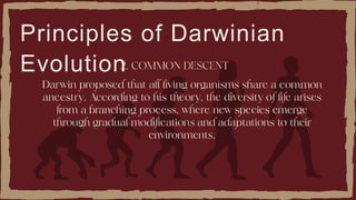 Principles of Darwinian
Evolution
 