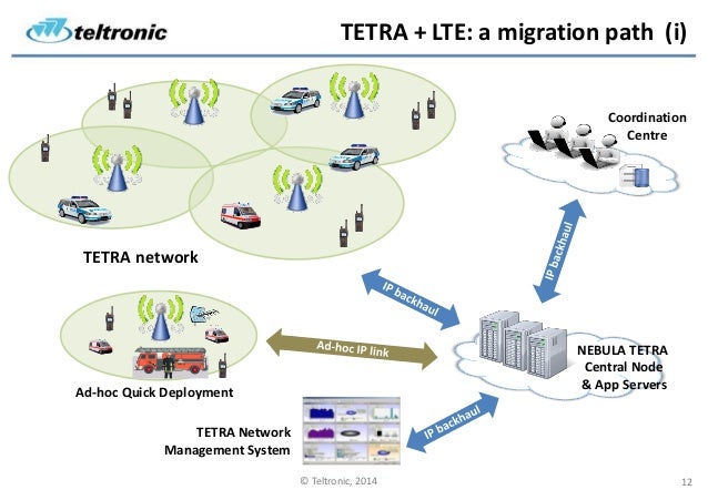 Tetra Integrated Terminal Management System – ORLO