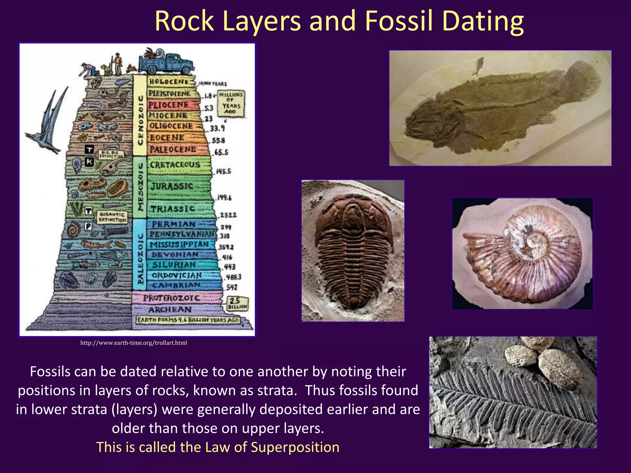 http://www.earth-time.org/trollart.html
Fossils can be dated relative to one another by noting their
positions in layers of rocks, known as strata. Thus fossils
found in lower strata (layers) were generally deposited
earlier and are older than those on upper layers.
This is called the Law of Superposition
Rock Layers and Fossil Dating
 