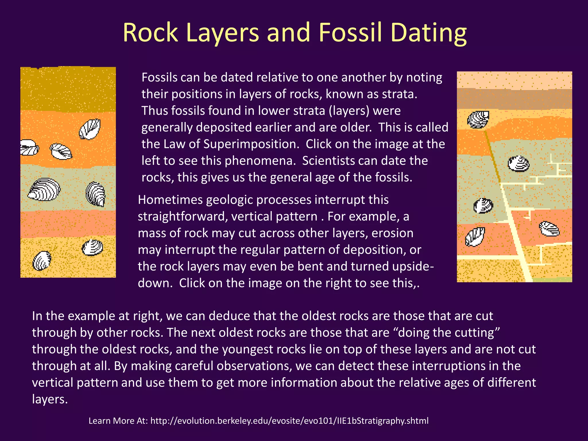 Fossil Types for our Core Samples
Ammonit
e
Trilobite
Elrathi kingi
Knightia
Fern
Alethopteris serii
 
