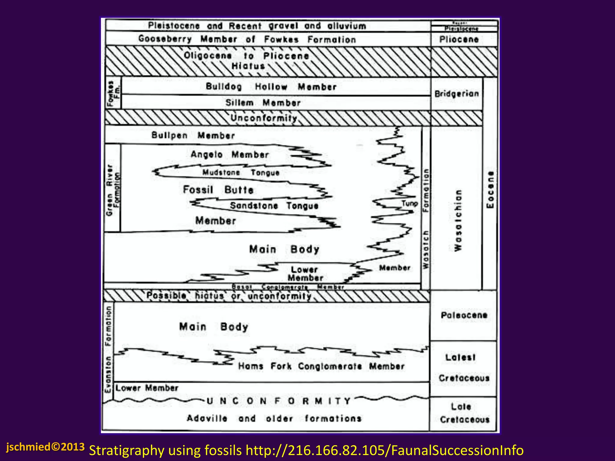 Fossils can be dated relative to one another by
noting their positions in layers of rocks, known as
strata. Thus fossils found in lower strata (layers)
were generally deposited earlier and are older.
This is called the Law of Superposition. Click on
the image at the left to see this phenomena.
Scientists can date the rocks, this gives us the
general age of the fossils.
In the example at right, we can deduce that the oldest rocks are those that are cut
through by other rocks. The next oldest rocks are those that are “doing the
cutting” through the oldest rocks, and the youngest rocks lie on top of these layers
and are not cut through at all. By making careful observations, we can detect these
interruptions in the vertical pattern and use them to get more information about
the relative ages of different layers.
Sometimes geologic processes interrupt this
straightforward, vertical pattern . For
example, a mass of rock may cut across other
layers, erosion may interrupt the regular
pattern of deposition, or the rock layers may
even be bent and turned upside-down. Click on
the image on the right to see this,.
Rock Layers and Fossil Dating
Learn More At: http://evolution.berkeley.edu/evosite/evo101/IIE1bStratigraphy.shtml
 