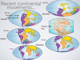 Recent continental
movements...
TETHYS
SEA
LAURASIA
GONDWANA
EquatorTriassic 200
Mya
Pangaea - single
supercontinent
 