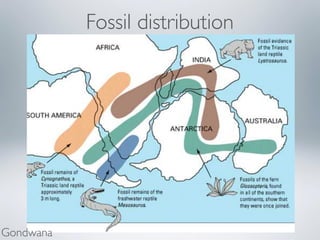 Fossil distribution
Gondwana
 