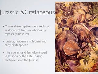 Jurassic &Cretaceous
•Mammal-like reptiles were replaced
as dominant land vertebrates by
reptiles (dinosaurs).
• Lizards, ...