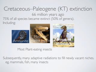 Cretaceous–Paleogene (KT) extinction
66 million years ago
Subsequently, many adaptive radiations to ﬁll newly vacant niche...