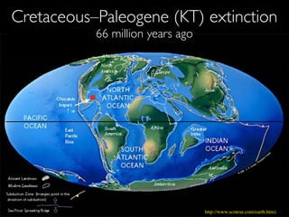 http://www.scotese.com/earth.htm)
Cretaceous–Paleogene (KT) extinction
66 million years ago
 