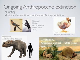 Diprotodon,
Australia, extinct 40,000 ya
Dodo,
Mauritius, extinct since 1662
Ongoing Anthropocene extinction
•Hunting
•Hab...
