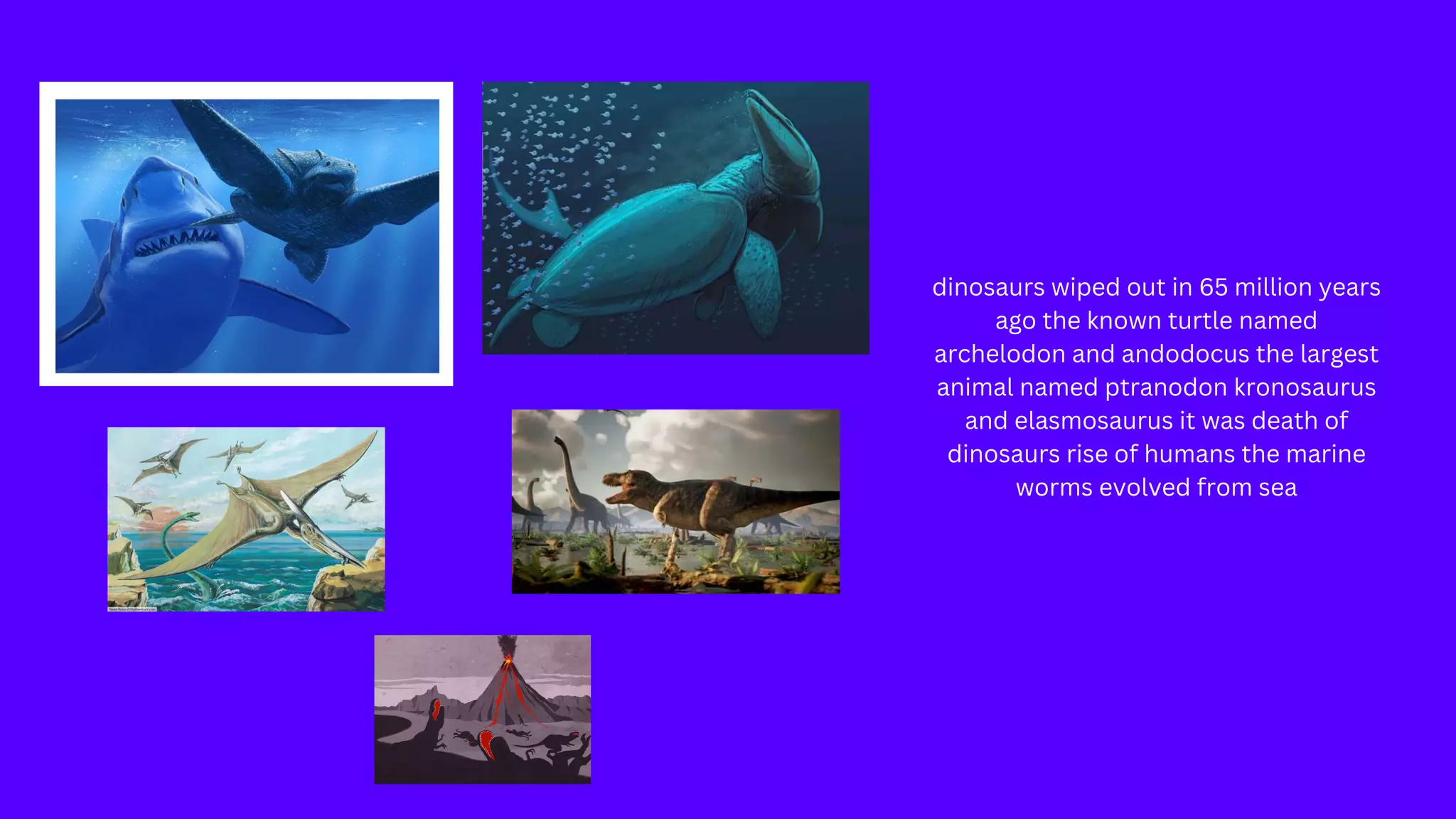evolution what would happen in future .pdf