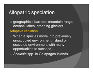 Allopatric speciationAllopatric speciation
geographical barriers: mountain rangegeographical barriers: mountain range,
oceans, lakes, creeping glaciers
Adaptive radiationAdaptive radiation
- When a species move into previously
unoccupied environment (island orunoccupied environment (island or
occupied environment with many
opportunities to succeed)opportunities to succeed)
- Scalesia spp. in Galapagos Islands
 
