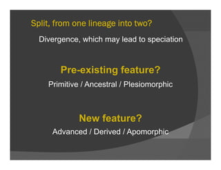 Split, from one lineage into two?
Divergence, which may lead to speciation
Pre-existing feature?g
Primitive / Ancestral / Plesiomorphic
New feature?New feature?
Advanced / Derived / Apomorphic
 
