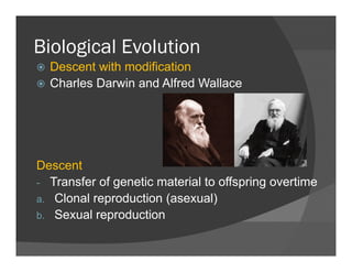 Biological EvolutionBiological Evolution
Descent with modification
Charles Darwin and Alfred WallaceCharles Darwin and Alfred Wallace
Descent
- Transfer of genetic material to offspring overtimeg p g
a. Clonal reproduction (asexual)
b. Sexual reproduction
 