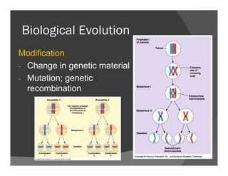 Biological EvolutionBiological Evolution
ModificationModification
- Change in genetic material
Mutation; genetic- Mutation; genetic
recombination
 