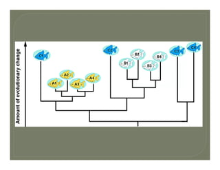Evolution with phylogeny