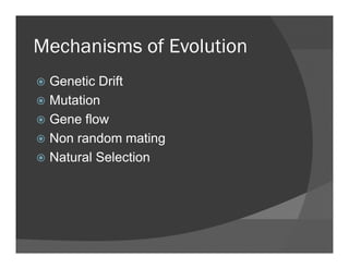 Mechanisms of EvolutionMechanisms of Evolution
Genetic DriftGenetic Drift
Mutation
Gene flowGene flow
Non random mating
Natural Selection
 
