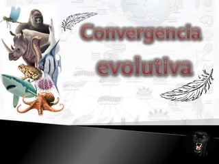 Convergencia evolutiva 