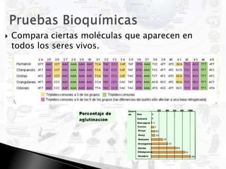 Pruebas BioquímicasCompara ciertas moléculas que aparecen en todos los seres vivos.