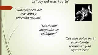 La “Ley del mas Fuerte”
“Supervivencia del
mas apto y
selección natural”
“Los menos
adaptados se
extinguen”
“Los mas aptos para
su ambiente
sobreviven y se
reproducen”
 