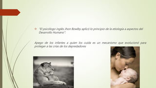  “El psicólogo inglés Jhon Bowlby aplicó lo principio de la etiología a aspectos del
Desarrollo Humano”:
Apego de los infantes a quien los cuida es un mecanismo que evolucionó para
proteger a las crías de los depredadores
 