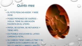 • EL FETO PESA 340-450GR. Y MIDE
30CM.
• POSEE PATRONES DE SUEÑOS –
VIGILIA, TIENE SU UBICACIÓN
FAVORITA EN EL ÚTERO.
• PATEA, SE ESTIRA, SE RETUERCE Y
TIENE HIPO.
• ES POSIBLE ESCUCHAR EL LATIDO
CARDIACO FETAL.
• SU CABEZA TIENE CABELLO FINO Y SU
CUERPO ESTA CUBIERTO DE UN
Quinto mes
 
