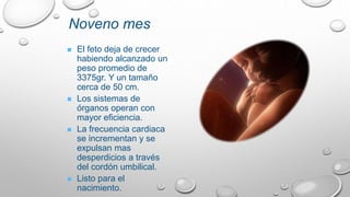 Noveno mes
 El feto deja de crecer
habiendo alcanzado un
peso promedio de
3375gr. Y un tamaño
cerca de 50 cm.
 Los sistemas de
órganos operan con
mayor eficiencia.
 La frecuencia cardiaca
se incrementan y se
expulsan mas
desperdicios a través
del cordón umbilical.
 Listo para el
nacimiento.
 