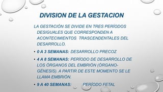 DIVISION DE LA GESTACION
LA GESTACIÓN SE DIVIDE EN TRES PERÍODOS
DESIGUALES QUE CORRESPONDEN A
ACONTECIMIENTOS TRASCENDENTALES DEL
DESARROLLO.
• 0 A 3 SEMANAS: DESARROLLO PRECOZ
• 4 A 8 SEMANAS: PERÍODO DE DESARROLLO DE
LOS ÓRGANOS DEL EMBRIÓN (ÓRGANO-
GÉNESIS). A PARTIR DE ESTE MOMENTO SE LE
LLAMA EMBRIÓN.
• 9 A 40 SEMANAS: PERÍODO FETAL
 