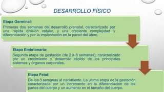 DESARROLLO FÍSICO
Etapa Germinal:
Primeras dos semanas del desarrollo prenatal, caracterizado por
una rápida división celular, y una creciente complejidad y
diferenciación y por la implantación en la pared del útero.
Etapa Embrionaria:
Segunda etapa de gestación (de 2 a 8 semanas); caracterizado
por un crecimiento y desarrollo rápido de los principales
sistemas y órganos corporales.
Etapa Fetal:
De las 8 semanas al nacimiento. La ultima etapa de la gestación
caracterizada por un incremento en la diferenciación de las
partes del cuerpo y un aumento en el tamaño del cuerpo.
 