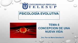TEMA 6
CONCEPCION DE UNA
NUEVA VIDA
Dra. Flor de María Sánchez O.
PSICOLOGÍA EVOLUTIVA
 