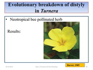 Evoluton of plant sexual diversity | PPTX