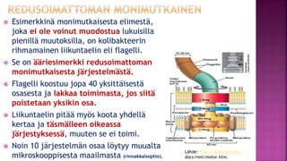 Evoluutioteoria ja tiede fi 12.1.2021