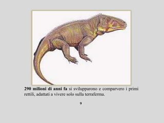 290 milioni di anni fa si svilupparono e comparvero i primi
rettili, adattati a vivere solo sulla terraferma.
                            9
 