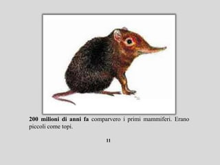 200 milioni di anni fa comparvero i primi mammiferi. Erano
piccoli come topi.

                           11
 