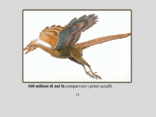 160 milioni di ani fa comparvero i primi uccelli.
                           12
 