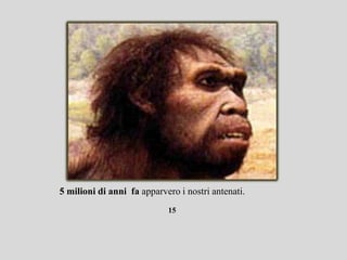 5 milioni di anni fa apparvero i nostri antenati.
                            15
 