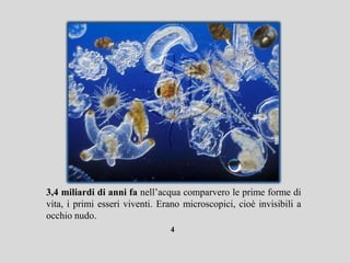 3,4 miliardi di anni fa nell’acqua comparvero le prime forme di
vita, i primi esseri viventi. Erano microscopici, cioè invisibili a
occhio nudo.
                                4
 