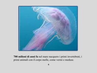 700 milioni di anni fa nel mare nacquero i primi invertebrati, i
primi animali con il corpo molle, come vermi e meduse.
                                6
 