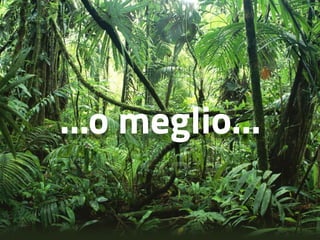 …o meglio… 
 