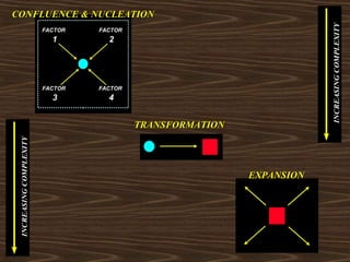 CCOONNFFLLUUEENNCCEE && NNUUCCLLEEAATTIIOONN 
TTRRAANNSSFFOORRMMAATTIIOONN 
EEXXPPAANNSSIIOONN 
 