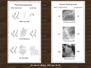 Da John H. Walker, 2001 (pp. 16-17) 
 