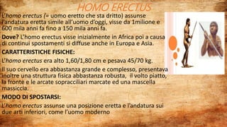 HOMO ERECTUS
L’homo erectus (= uomo eretto che sta dritto) assunse
l’andatura eretta simile all’uomo d’oggi, visse da 1milione e
600 mila anni fa fino a 150 mila anni fa.
Dove? L’homo erectus visse inizialmente in Africa poi a causa
di continui spostamenti si diffuse anche in Europa e Asia.
CARATTERISTICHE FISICHE:
L’homo erectus era alto 1,60/1,80 cm e pesava 45/70 kg.
Il suo cervello era abbastanza grande e complesso, presentava
inoltre una struttura fisica abbastanza robusta, il volto piatto,
la fronte e le arcate sopracciliari marcate ed una mascella
massiccia.
MODO DI SPOSTARSI:
L’homo erectus assunse una posizione eretta e l’andatura sui
due arti inferiori, come l’uomo moderno
 