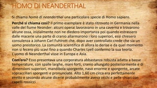 HOMO DI NEANDERTHAL
Si chiama homo di neanderthal una particolare specie di Homo sapiens.
Perché si chiama così? Il primo esemplare è stato ritrovato in Germania nella
valle del fiume Neander: alcuni operai lavoravano in una caverna e trovarono
alcune ossa, inizialmente non ne diedero importanza poi quando estrassero
dalle macerie una parte di cranio allarmarono i loro superiori, essi chiesero
consulenza a Johann Carl Fuhlrott che, dopo aver controllato crede che sia un
uomo preistorico. La comunità scientifica di allora lo derise e da quel momento
non si fecero più scavi fino a quando Charles Lyell confermo la sua teoria.
L’uomo di Neanderthal visse in Europa e Asia.
Com’era? Esso presentava una corporatura abbastanza robusta adatta a basse
temperature, con spalle larghe, mani forti, cranio allungato posteriormente e di
dimensioni superiori, mandibola sporgente, naso enorme e sporgente, arcate
sopracciliari sporgenti e pronunciate. Alto 1,60 cm circa era perfettamente
eretto e secondo alcune dicerie probabilmente aveva occhi e pelle chiari con
capelli rossicci
 