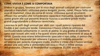 COME VIVEVA E COME SI COMPORTAVA
Viveva in gruppo, lavorava con le ossa degli animali catturati per costruire
utensili e manufatti: utilizzava pietre levigate, punte, cunei, frecce fatte con
ossa di mammut, clave da corna di renne. Utilizzava quindi strumenti
efficaci ma semplici che richiedevano capacità e manualità. Questo tipo di
uomo grazie alle sue possenti braccia riusciva a uccidere prede molto
grandi pugnalandole a distanza ravvicinata.
Lavorava le pelli degli animali per abiti con i quali potersi riparare dal
freddo e per costruire tende. Conosceva il fuoco infatti lo utilizzava
racchiudendolo solitamente in cerchi di pietra: in una grotta di Gibilterra
sono stati trovati altri resti e fra questi erano presenti frammenti di ossa di
cervo. Queste ossa erano letteralmente spaccate e non cotte, si pensa che
fossero state fracassate per ottenere il grasso e il midollo presente
all’interno per poterlo mangiare crudo. Inoltre si crede che il fuoco venisse
acceso una sola volta e alimentato con ossa e rifiuti e infine veniva
abbandonato. L’homo di Neanderthal scomparve 35.000 anni fa .
 